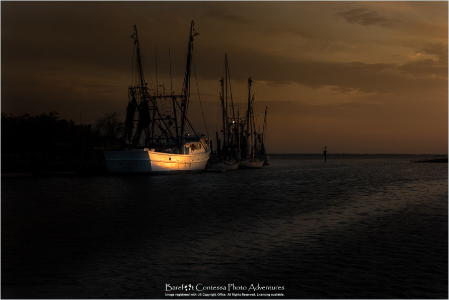 ZAP-A2170310542-BCPA-SC.jpg
