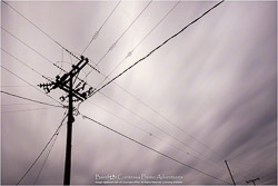 ZAP-221-021-112-BCPA-OBW.jpg