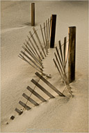 Rigsbee Retrospective