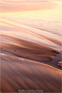 Yin & Yang of the Outer Banks