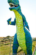 Yin & Yang of the Outer Banks