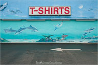 Yin & Yang of the Outer Banks