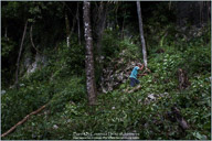 Belize, Land of the Maya