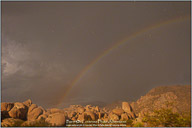 Joshua Tree National Park