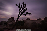 Joshua Tree National Park