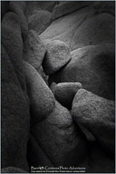 Joshua Tree National Park