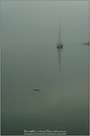 Summertime on the Maine Coast