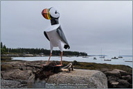 Summertime on the Maine Coast
