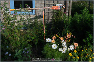 Monhegan Island, Artists' Paradise