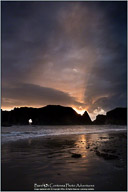 Along the Oregon Coast