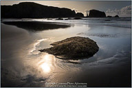 Along the Oregon Coast