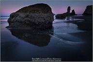 Along the Oregon Coast