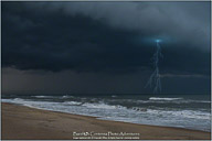 Springtime on the Outer Banks