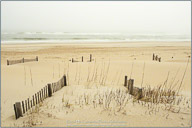 Winter on the Outer Banks