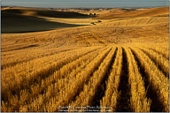 Palouse, Echoes of Tuscany