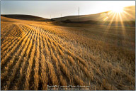 Palouse, Echoes of Tuscany