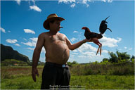 Ongoing Project - Cuba