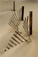 Fine Art Photographs in Permanent Collections