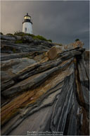 Fine Art Photographs in Permanent Collections