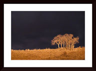 Print Pricing Gallery