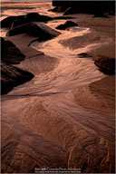 Welcome Gallery