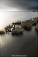 Welcome Gallery